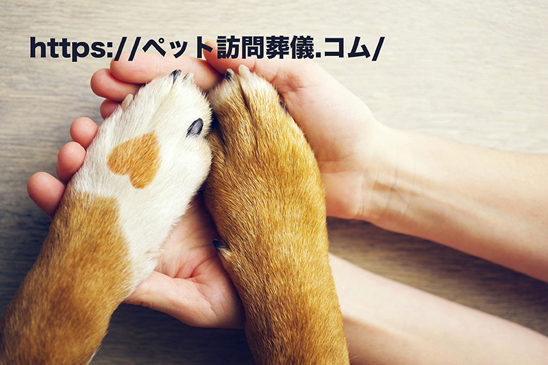 ペット訪問葬儀.コム